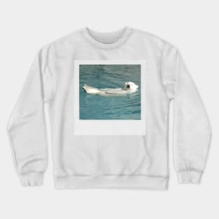 Polar Bear Photograph (Chillin') Animal Lover Gift Funny Graphic Picture Crewneck Sweatshirt